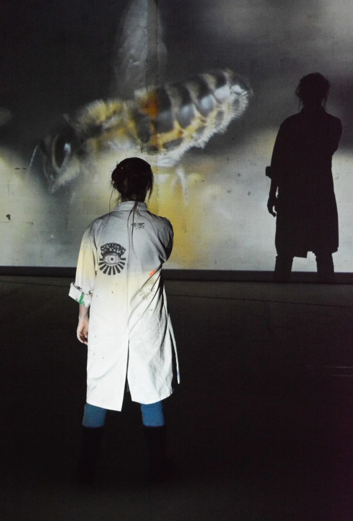 A person silhouetted against a projected image of a bee.